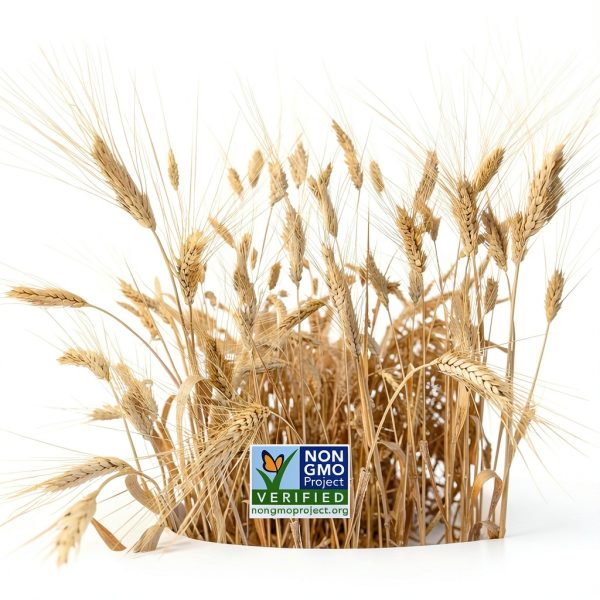 Barilla Penne and Spaghetti Pasta 16oz Durum Wheat-4